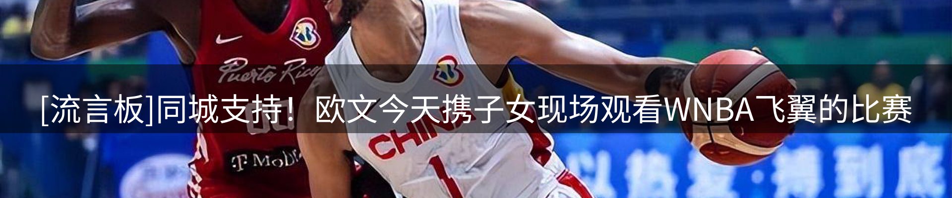 网站资讯